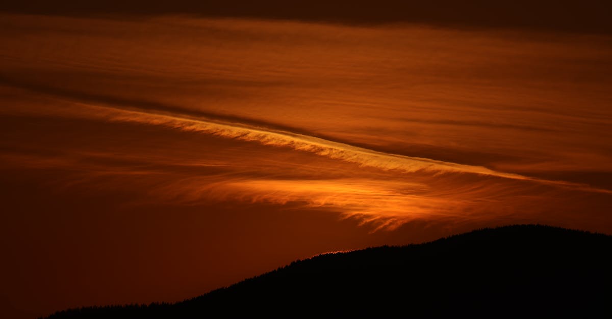 Certifications that Enhance Trust in Restumping Services