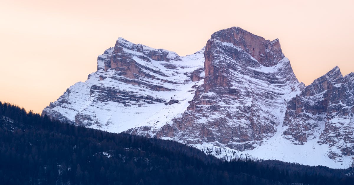 Common Challenges in the Stump Removal Process