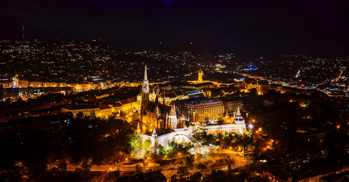 Common Mistakes to Avoid When Installing New Stumps