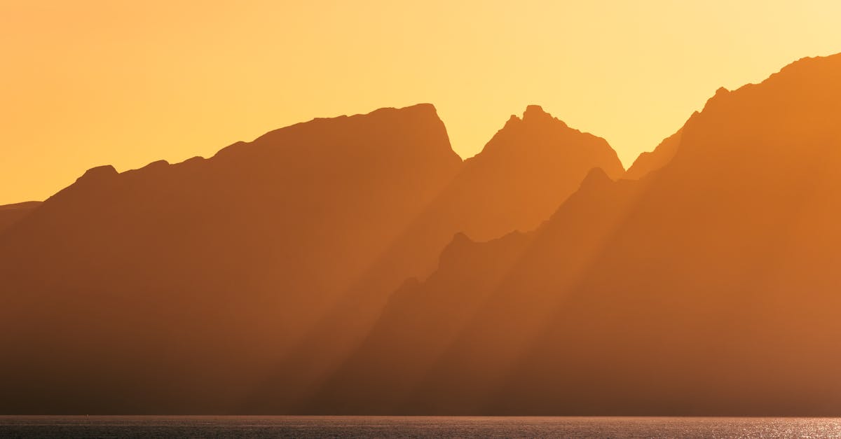 Differentiating Between Stump Removal and Grubbing