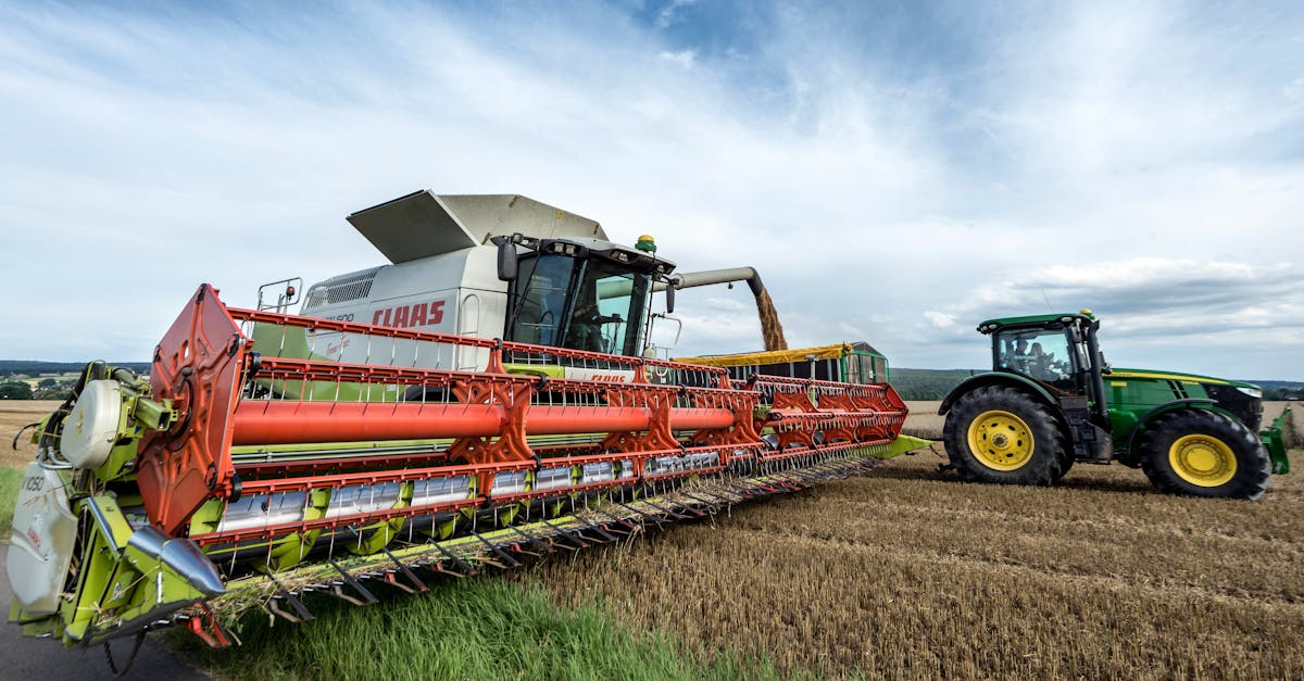 Equipment Needed for Effective Stump Removal