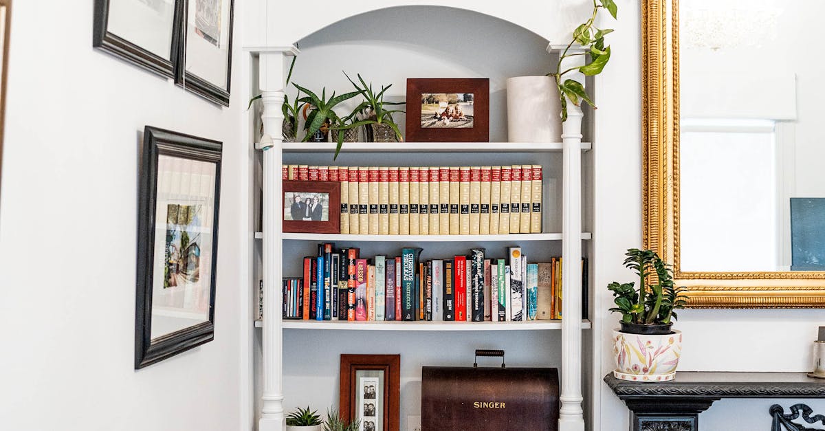 Essential Qualifications for a Reliable Restumping Contractor in Melbourne