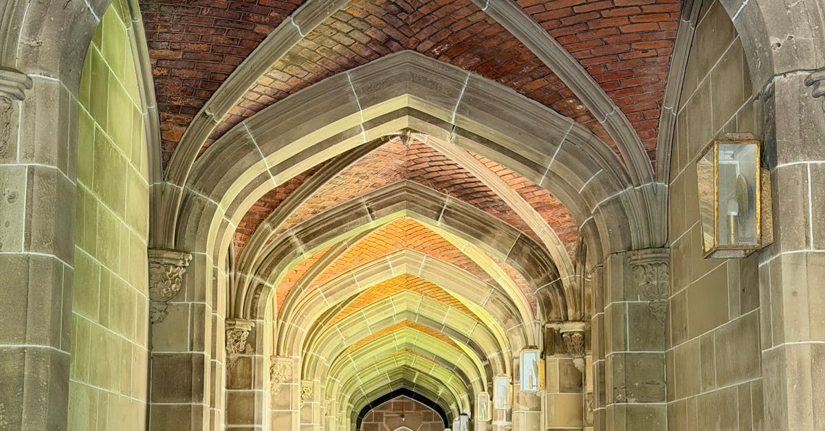 Essential Queries on Cost Breakdown for Restumping Services