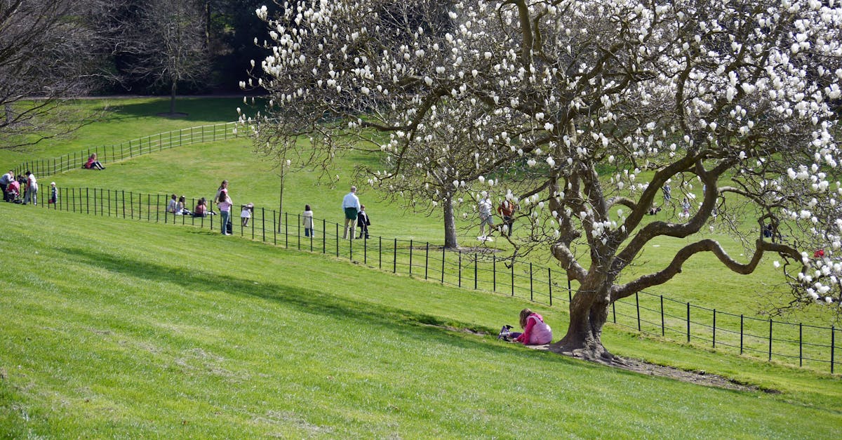 Evaluating Online Reviews for Restumping Contractors in Melbourne