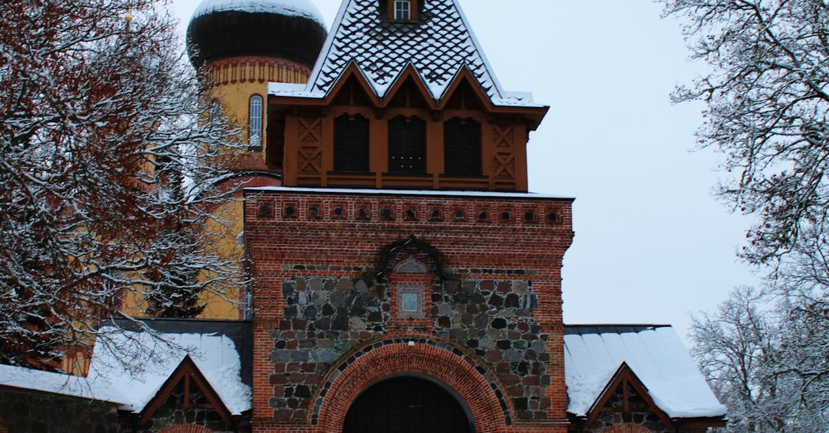 Impact of Weather Conditions on New Stump Installation