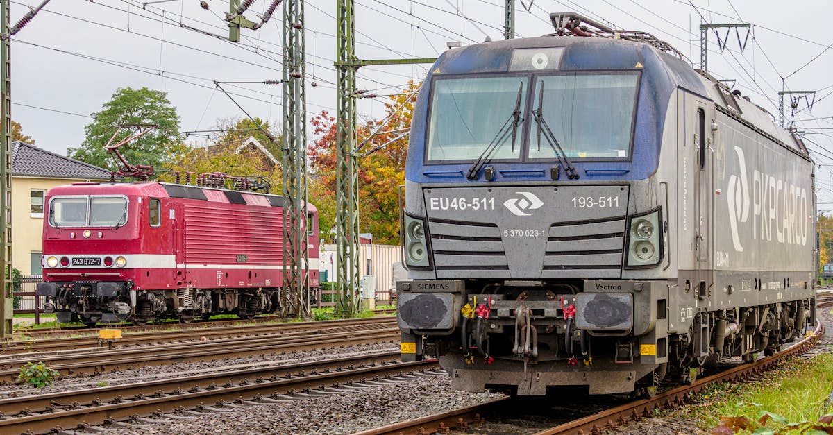 Safety Precautions During Stump Removal