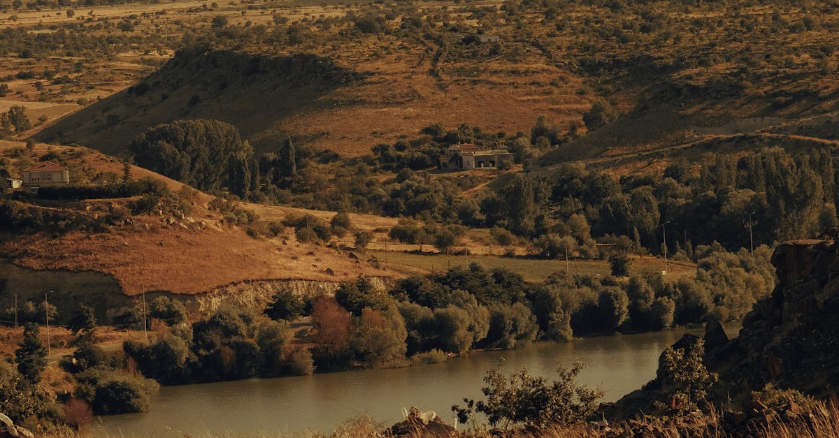 The Role of Manufacturer Warranties in New Stump Installations